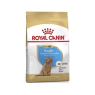 【ROYAL 法國皇家】BHN 皇家貴賓幼犬PDP 3KG(下單後10個工作天寄出)