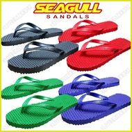∆ ✼ ◵ MSY1 Seafull slipper (tusok-tusok)