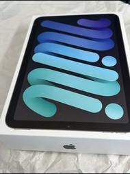 APPLE IPad mini6 Wi-Fi+Cellular  深空灰256GB