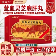 仙养万茸血灵芝鹿肝丸10丸|盒植物配方浓缩成丸20260605