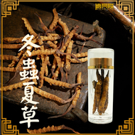 德興隆 - 西藏3400凍乾冬蟲夏草(60-65條/盒) (5條/樽)#蟲草養生#冬蟲夏草#蟲草#日常進補 #養生