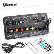 D100 100W-300W Amplifier Bluetooth untuk 8-12 Inci Speaker AC 220V 12V 24V Penguat Bluetooth Digital