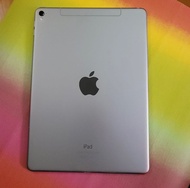 iPad Pro 9.7 256Gb