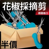 Next Day To Shop Fruit Tree Shears Floral Gardening Pruning Flower Powerful Branches Trees Special G