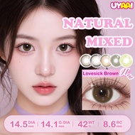 [Brown Lens+14.5mm] Eyecandy Contact Lens With Power Natural Lovesick Brown Korea Style Dolly eyes