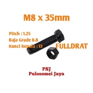 Steel Bolt Nut 8.8 M8 x 35 High Tensionle/ Bolt Grade 8.8 (FD)