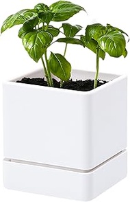 D'vine Dev 4 Inch Herb Planter Pot, Plastic Planter with Drainage Holes and Saucer, Modern Decorativ