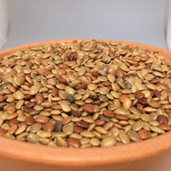 Horse Gram / Kollu Seed