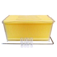 Factory In-Stock Direct Delivery Foundation Flow Box Italian Bee Plastic Self-Flow Pan Honey Hive