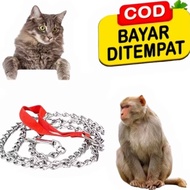 GLX Animal Chain 2.5mm Animal Chain Cat Chain