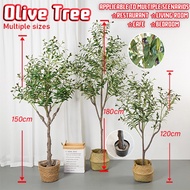 Ready Stock olive tree artificial indoor plant live pokok olive artificial Large Artificial Olive ho