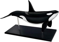 4D vision หุ่นจำลองวาฬ 4 มิติ