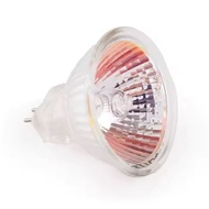 Rio Luminaries 6V10W GZ4 MR11 Hikari 00188 Halogen Bulb