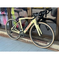 ALCOTT ASCARI LITE  RB DEMO CODITION M size