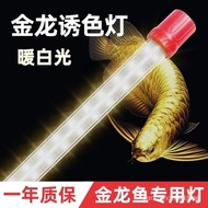 Golden Arowana Special Lamp LED Super Bright Waterproof Fish Tank Lamp T8 Double Row 5050 Lamp Beads