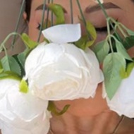 Issued on March 6th [Link 4]