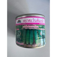 Benih Timun Baby GREENER ADVANCE SEEDS Thai 50 gram Cucumber hybrid F1