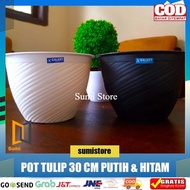 TULIP POT 30 cm WHITE/ WASP POT 30 cm WHITE BLACK BEE POT 30 cm (Premium Great a)