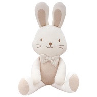 Super Soft Organic Cotton Baby First Friend, Attachment Doll for Baby, Pillow Buddy, Plush Animal To