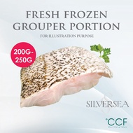 Silversea - Fresh Frozen Grouper Portion 200-250G Fresh Frozen Seafood