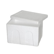 Polystyrene Packaging / Polyform Box (Extra Protection) / 白箱 保丽龙箱