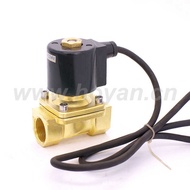 Hongyuan Solenoid Valve Underwater Solenoid Valve DN20 Fountain Application