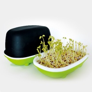 Hydroponic Sprouting Box Home Garden Peanut Bean Sprout Tray Indoor Balcony Growing Container