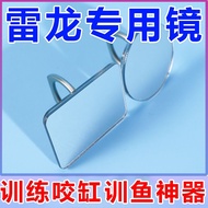 Thunder Arowana Training Thai Betta Ring Buckle Small Mirror Exhibition Tail Drum Gills Teasing Fish