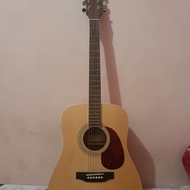 Gitar Anderson AFE12N