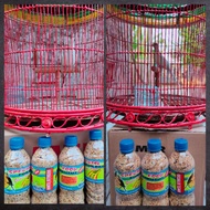 CHAMPION DOVE FEED - SPECIAL FOOD CHAMPION DOVE SPECIAL ANCIENT DOVE FEED DOVE FEED DOVE FOOD MILLET