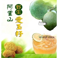 【READY STOCK】Taiwan Aiyu Jelly Seed 台湾阿里山野生爱玉籽