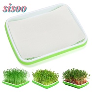 SISOO  Sprouter Tray Outdoor Indoor Hydroponic Tray Nursery Paper Plant Box