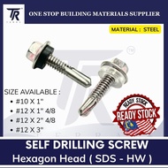 Hexagon Head with Bonded Washer Awing Screw Self Drilling Screw DS-HW #12 x 1"4/8