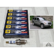 Spark Plug Iridium Jeep Grand Cherokee ZJ Set Of 6 Working Distance 100000 Km : Hella IM8RC5-11P