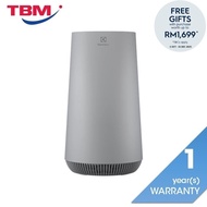 Electrolux FA41-402GY Air Purifier 570 Sq Ft Light Grey