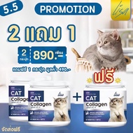 รีบเลยก่อนโปรหมด! #ส่งฟรี #ผงโรยอาหารแมว Lisa Cat Collagen หยุดขนร่วง เพิ่มกล้ามเนื้อ สวนผสมจากผงไข่
