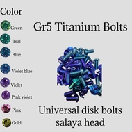 GR5 DISK BOLTS SALAYA HEAD