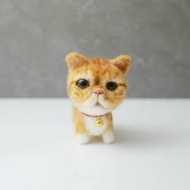 加菲貓客製化羊毛氈 寵物客製 公仔 豆豆貓