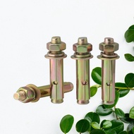 Durable Expansion Bolt / Dyna Bolt / Anchor Bolt – Secure Wall & Concrete Mounting