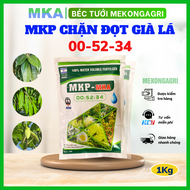 Phân bón MKP 0 52 34 MKA chặn đọt làm già lá tạo mầm hoa