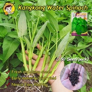 150 Seed High Yield Big Leaf Water Spinach Seeds Kangkong Seed Biji Benih Kangkong Water Spinach See