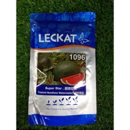 Benih Tembikai Merah Tanpa Biji SUPER STAR Leckat 1096 20gram/100gram