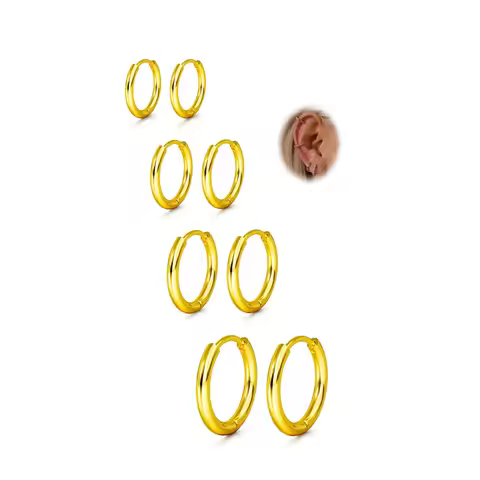 Small Hoop Earrings for Women - 316L Stainless Steel Small Hoops Earrings Set 18K Real Gold Plated H