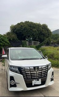 Alphard 30系 頭泵把 鬼面罩 頭燈
