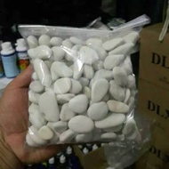 WHITE CORAL STONE 2 Kg White Coral Stone/ for Garden Decoration