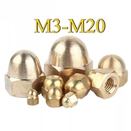 Copper Cap Type Nut Cap Nut Nut Nut Copper Nut/M3/M4/M5-M20 (XINKE-RM-TH)
