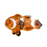 Klip Rambut Ikan Badut Laut Lucu, Klip Rambut Asetat Comel, Klip Cakar Kecil Fesyen untuk Wanita