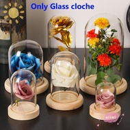 OLINI Glass cloche Plants Home Decor Terrarium Transparent Bottle Jar Flower Storage box
