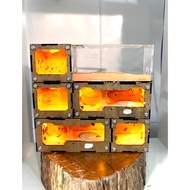 [DT10] Standing Light Tank for Ant Farming/ Ant Raising Tank/ Ant Raising Box/ Standing Tank/ Light 