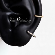 Iris Basic TITANIUM G23 Stone Earrings